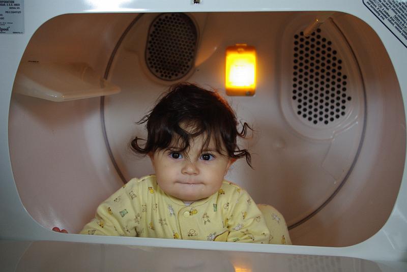 IMGP0013.JPG