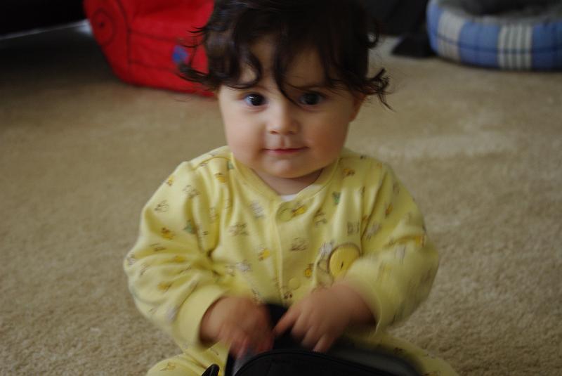 IMGP0021.JPG
