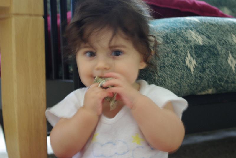 IMGP0107.JPG