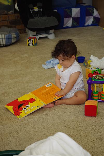 IMGP0222.JPG