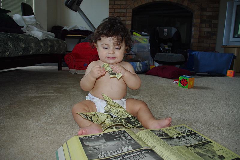 IMGP0121.JPG