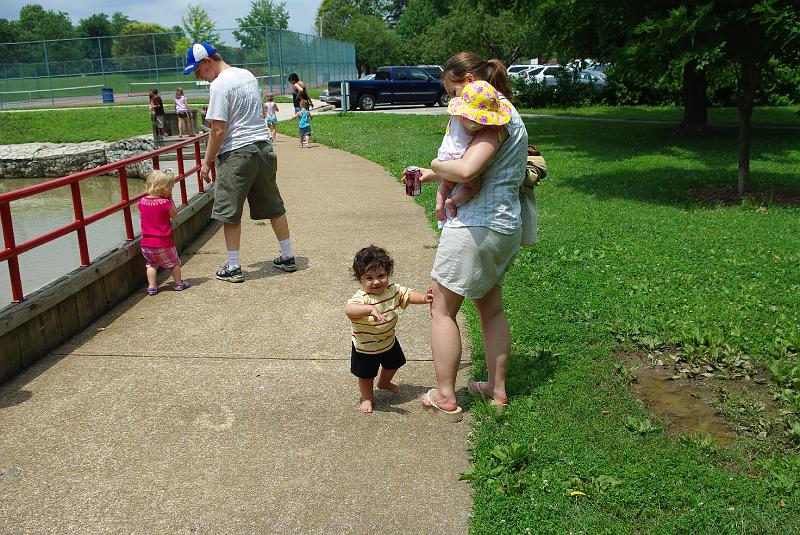 IMGP0908.JPG